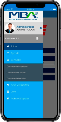 Menú Consultas de Inventario