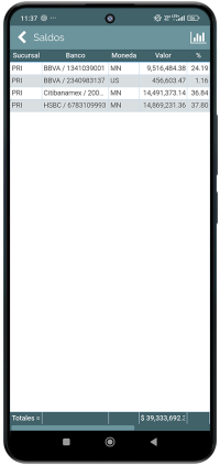 Consulta Saldo de Bancos