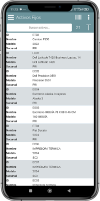 Consulta Activos Fijos <br>Modo Lista