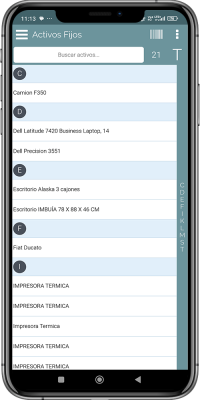 Consulta Activos Fijos <br> Lista Alfabética