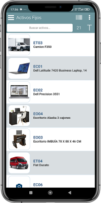 Consulta Activos Fijos