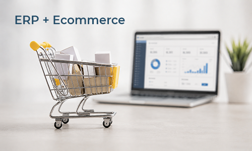 Integración de E-commerce y ERP en Retail: Guía Paso a Paso para Unificar tus Sistemas